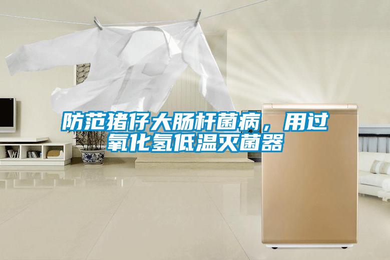 防范豬仔大腸桿菌病，用過氧化氫低溫滅菌器