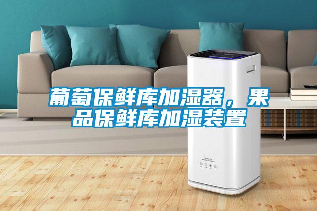 葡萄保鮮庫加濕器，果品保鮮庫加濕裝置