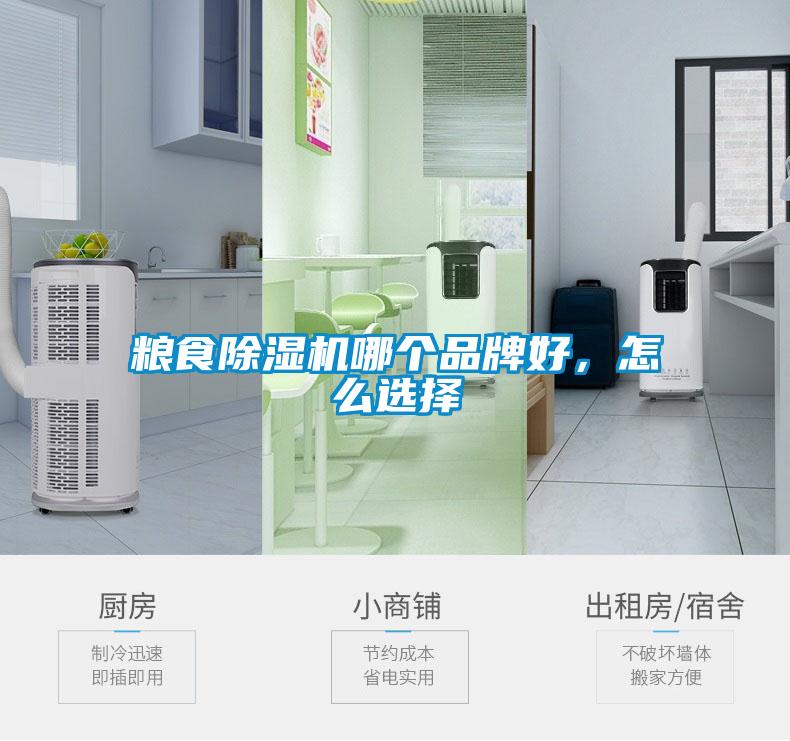 糧食除濕機哪個品牌好，怎么選擇