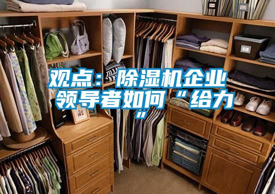 觀(guān)點(diǎn)：除濕機(jī)企業(yè) 領(lǐng)導(dǎo)者如何“給力”