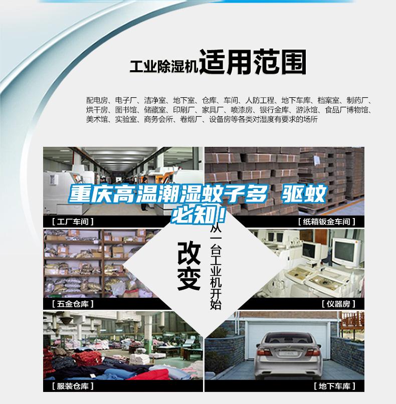 重慶高溫潮濕蚊子多 驅(qū)蚊必知！