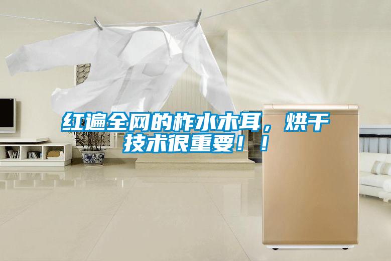 紅遍全網(wǎng)的柞水木耳，烘干技術(shù)很重要?。?/></p>
						    <p style=