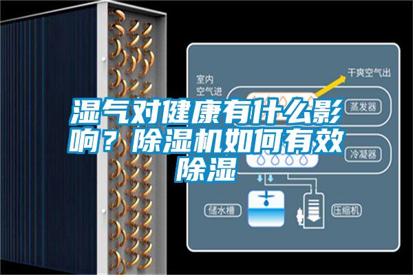 濕氣對健康有什么影響？除濕機(jī)如何有效除濕