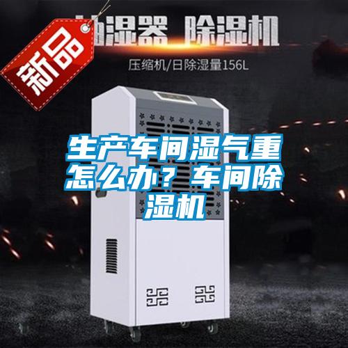 生產(chǎn)車間濕氣重怎么辦？車間除濕機(jī)