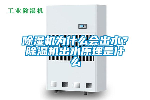 除濕機(jī)為什么會(huì)出水？除濕機(jī)出水原理是什么