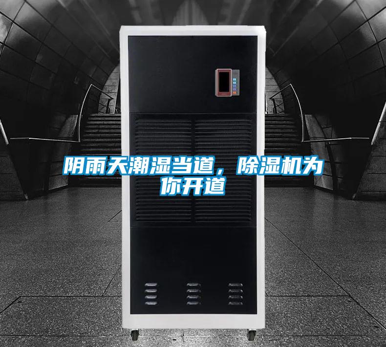 陰雨天潮濕當(dāng)?shù)?，除濕機(jī)為你開道