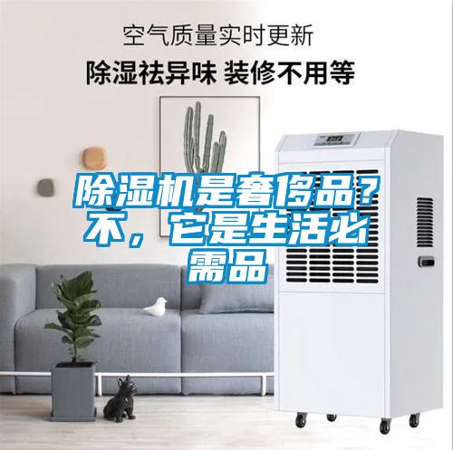 除濕機是奢侈品？不，它是生活必需品