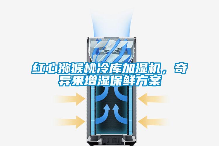 紅心獼猴桃冷庫加濕機，奇異果增濕保鮮方案