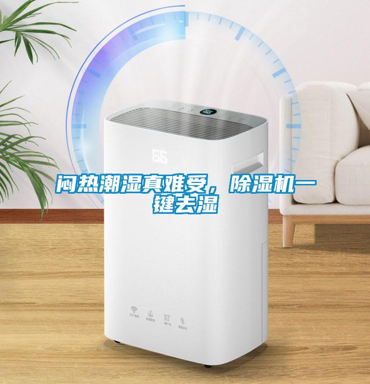 悶熱潮濕真難受，除濕機一鍵去濕