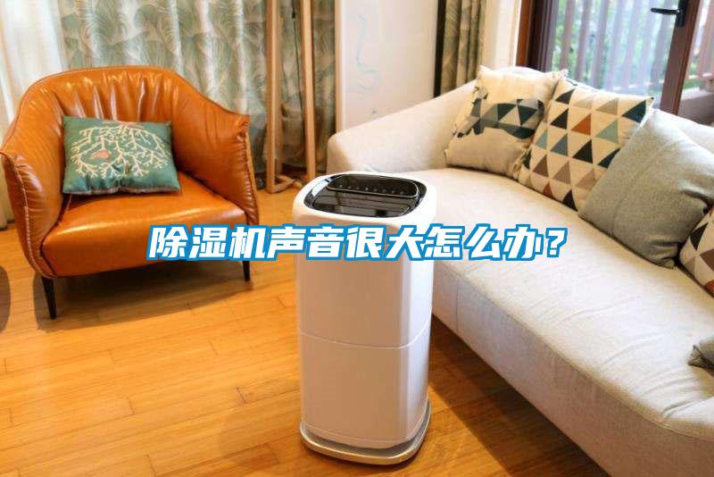 除濕機聲音很大怎么辦？