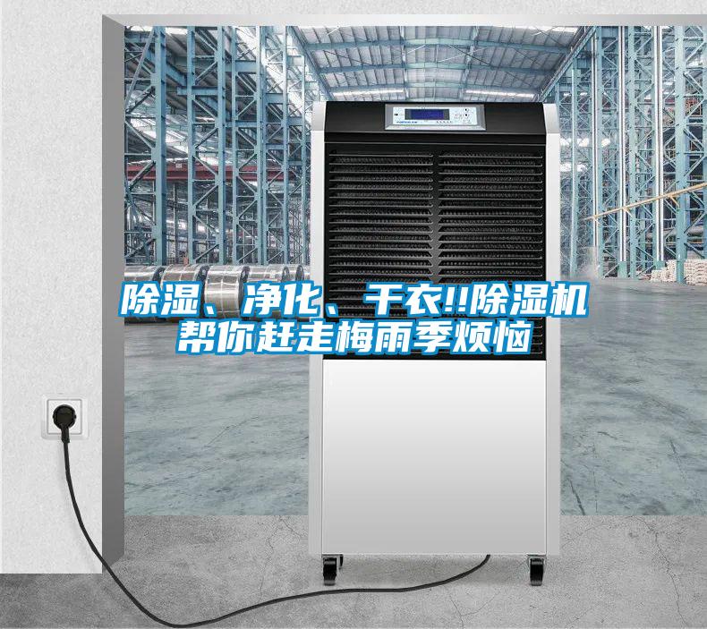 除濕、凈化、干衣!!除濕機(jī)幫你趕走梅雨季煩惱