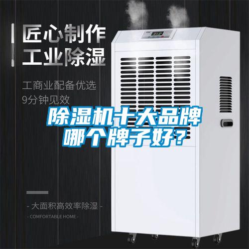 除濕機十大品牌哪個牌子好？