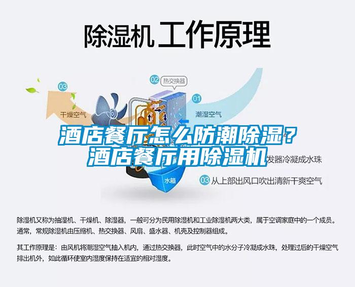 酒店餐廳怎么防潮除濕？酒店餐廳用除濕機(jī)