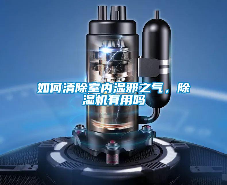 如何清除室內(nèi)濕邪之氣，除濕機(jī)有用嗎