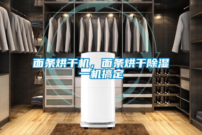 面條烘干機(jī)，面條烘干除濕一機(jī)搞定