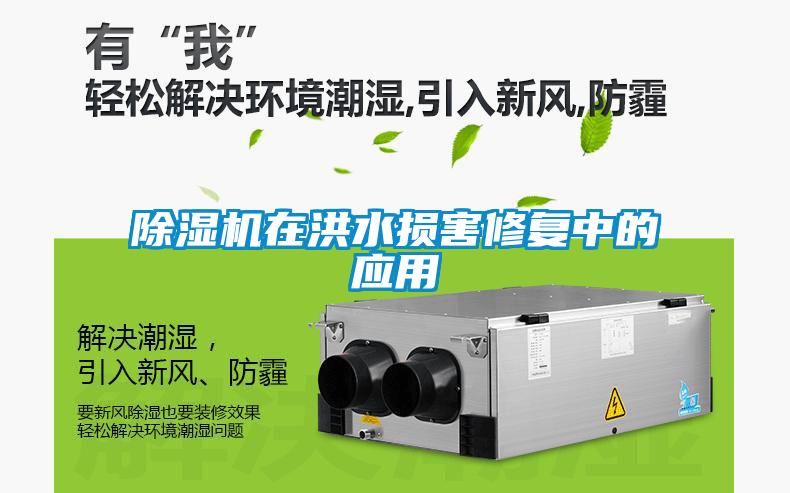 除濕機(jī)在洪水損害修復(fù)中的應(yīng)用