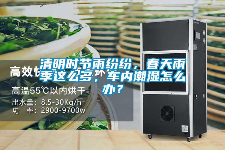 清明時節(jié)雨紛紛，春天雨季這么多，車內(nèi)潮濕怎么辦？