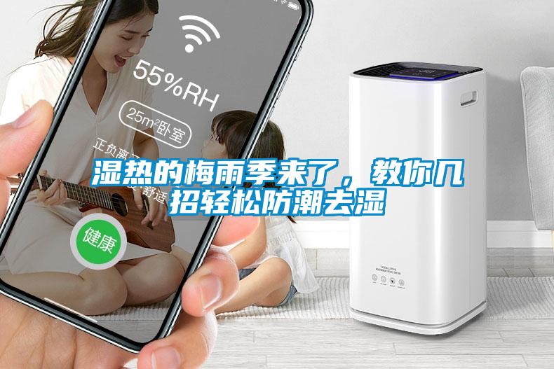 濕熱的梅雨季來了，教你幾招輕松防潮去濕