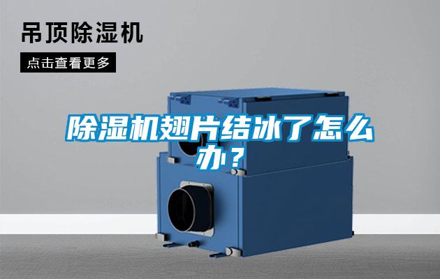 除濕機(jī)翅片結(jié)冰了怎么辦？