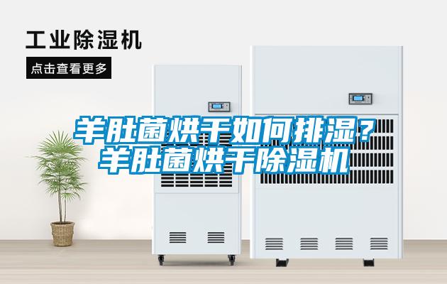 羊肚菌烘干如何排濕？羊肚菌烘干除濕機(jī)