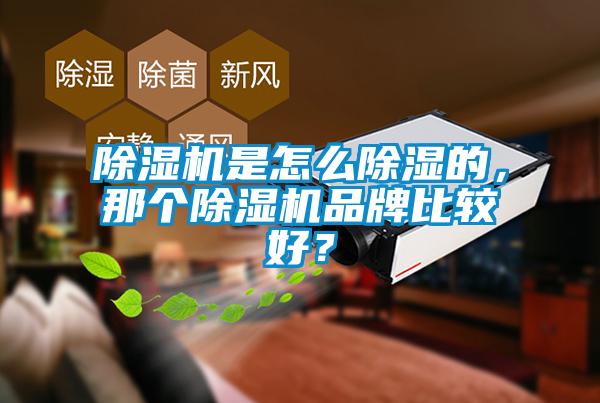 除濕機(jī)是怎么除濕的，那個除濕機(jī)品牌比較好？