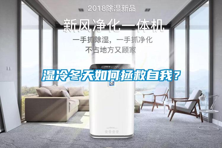 濕冷冬天如何拯救自我？