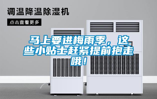 馬上要進梅雨季，這些小貼士趕緊提前抱走哦！