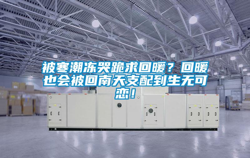 被寒潮凍哭跪求回暖？回暖也會被回南天支配到生無可戀！