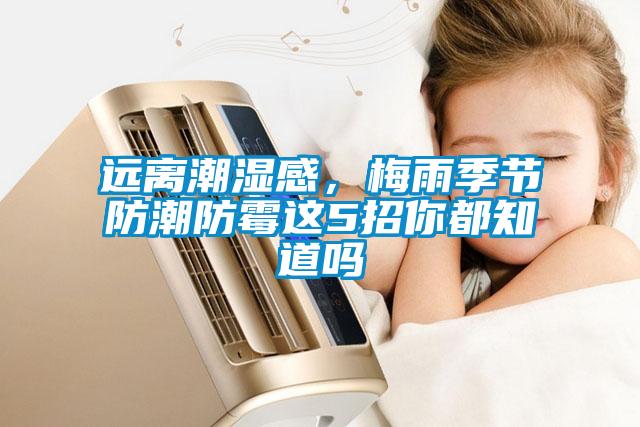 遠離潮濕感，梅雨季節(jié)防潮防霉這5招你都知道嗎
