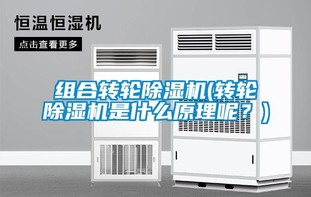 組合轉(zhuǎn)輪除濕機(jī)(轉(zhuǎn)輪除濕機(jī)是什么原理呢？)