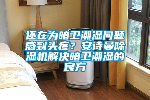 還在為暗衛(wèi)潮濕問題感到頭疼？安詩曼除濕機(jī)解決暗衛(wèi)潮濕的良方