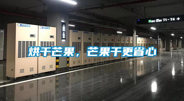 烘干芒果，芒果干更省心