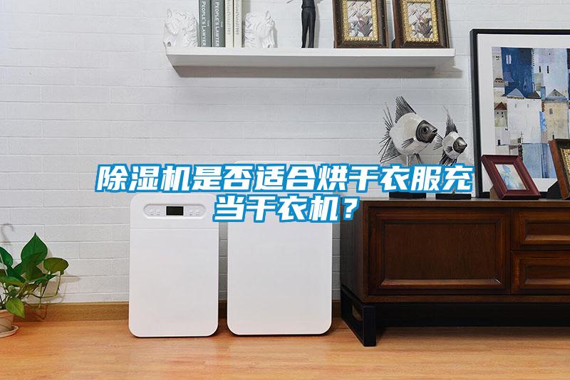 除濕機(jī)是否適合烘干衣服充當(dāng)干衣機(jī)？