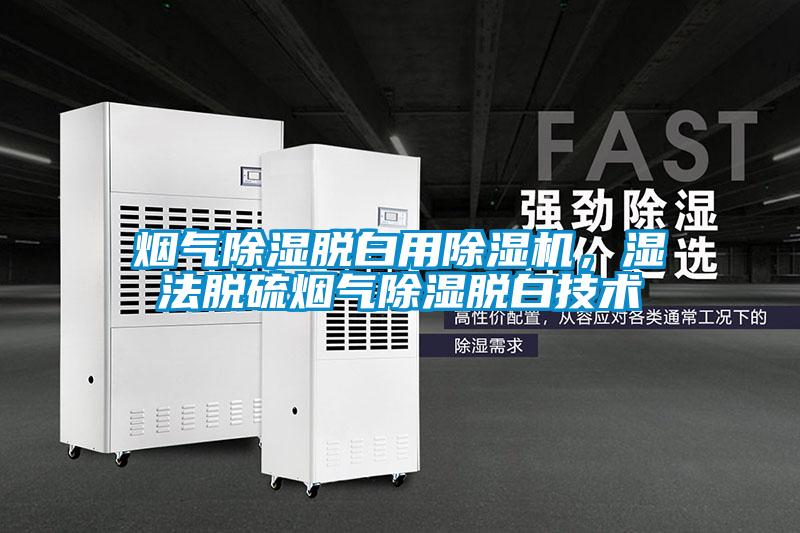 煙氣除濕脫白用除濕機(jī)，濕法脫硫煙氣除濕脫白技術(shù)