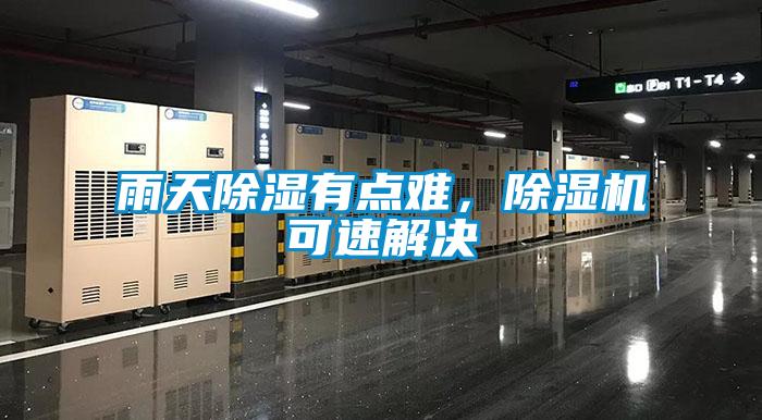 雨天除濕有點難，除濕機可速解決