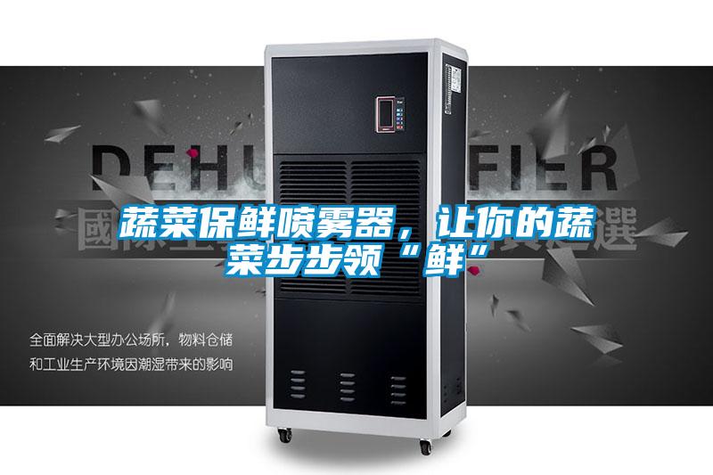 蔬菜保鮮噴霧器，讓你的蔬菜步步領“鮮”