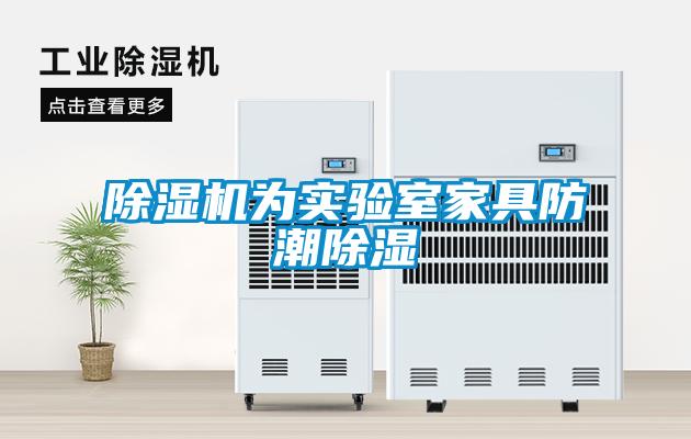 除濕機(jī)為實驗室家具防潮除濕