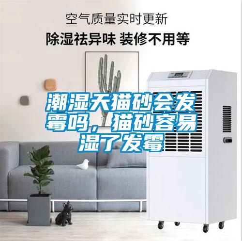 潮濕天貓砂會發(fā)霉嗎，貓砂容易濕了發(fā)霉