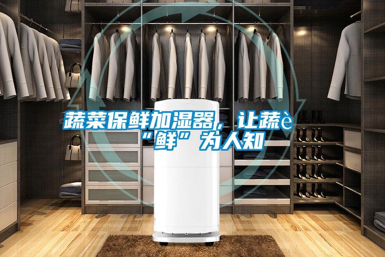 蔬菜保鮮加濕器，讓蔬菜“鮮”為人知