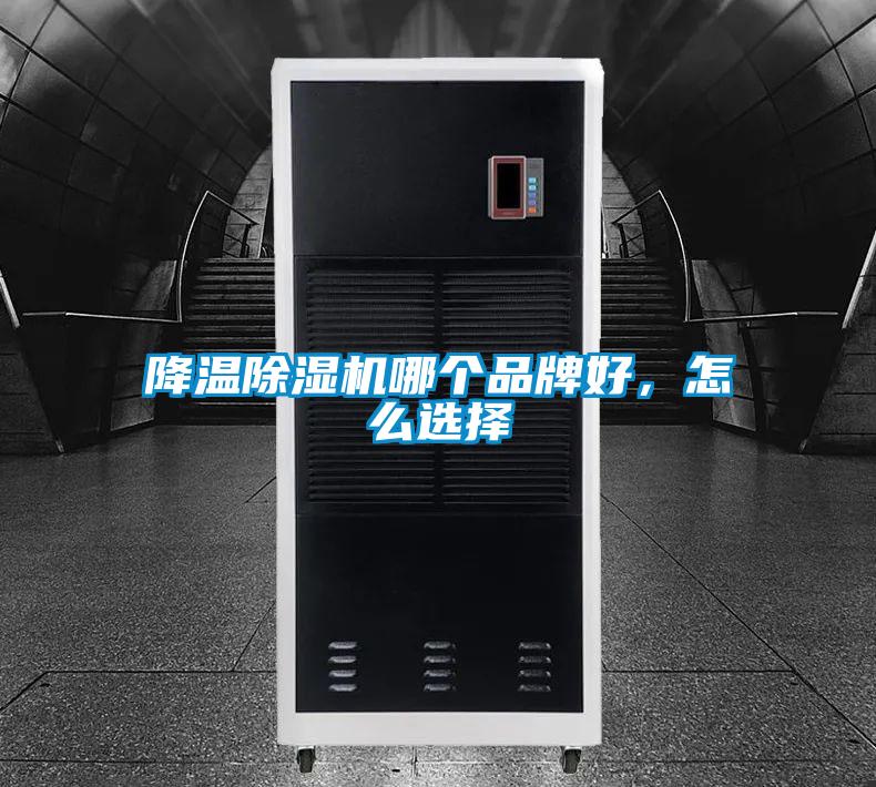 降溫除濕機(jī)哪個品牌好，怎么選擇