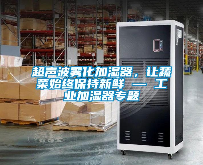超聲波霧化加濕器，讓蔬菜始終保持新鮮 — 工業(yè)加濕器專題