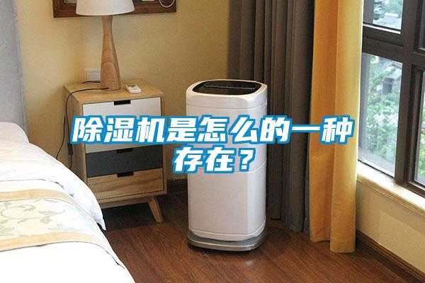 除濕機是怎么的一種存在？