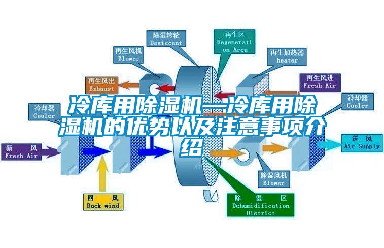 冷庫(kù)用除濕機(jī)—冷庫(kù)用除濕機(jī)的優(yōu)勢(shì)以及注意事項(xiàng)介紹
