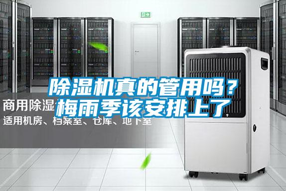 除濕機(jī)真的管用嗎？梅雨季該安排上了