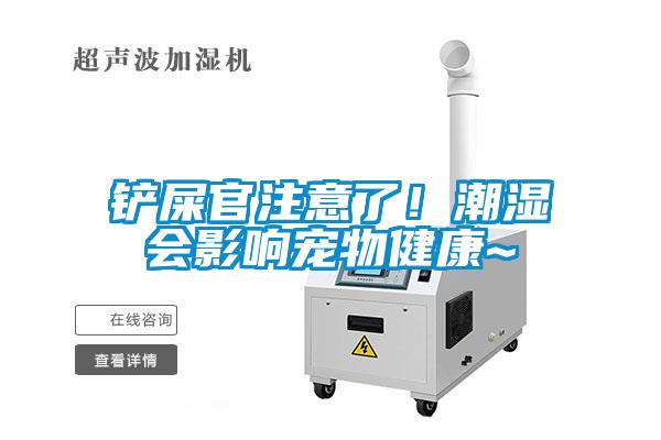 鏟屎官注意了！潮濕會影響寵物健康~