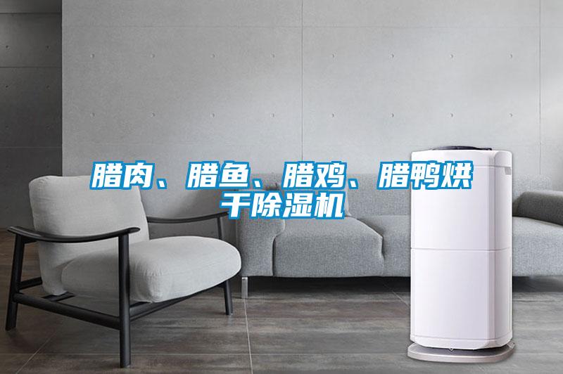 臘肉、臘魚、臘雞、臘鴨烘干除濕機