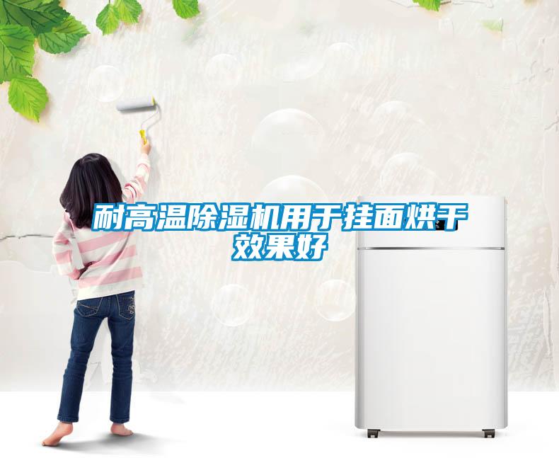 耐高溫除濕機用于掛面烘干效果好