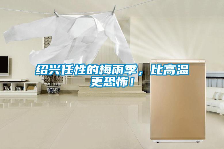 紹興任性的梅雨季，比高溫更恐怖！