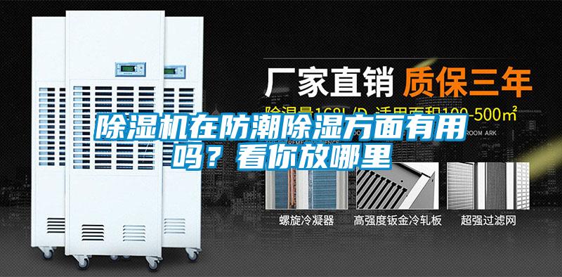 除濕機在防潮除濕方面有用嗎？看你放哪里