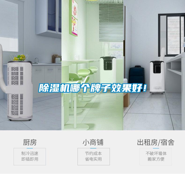 除濕機哪個牌子效果好！